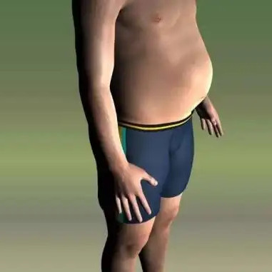 是什么原因?qū)е滦「谷菀锥逊e脂肪？